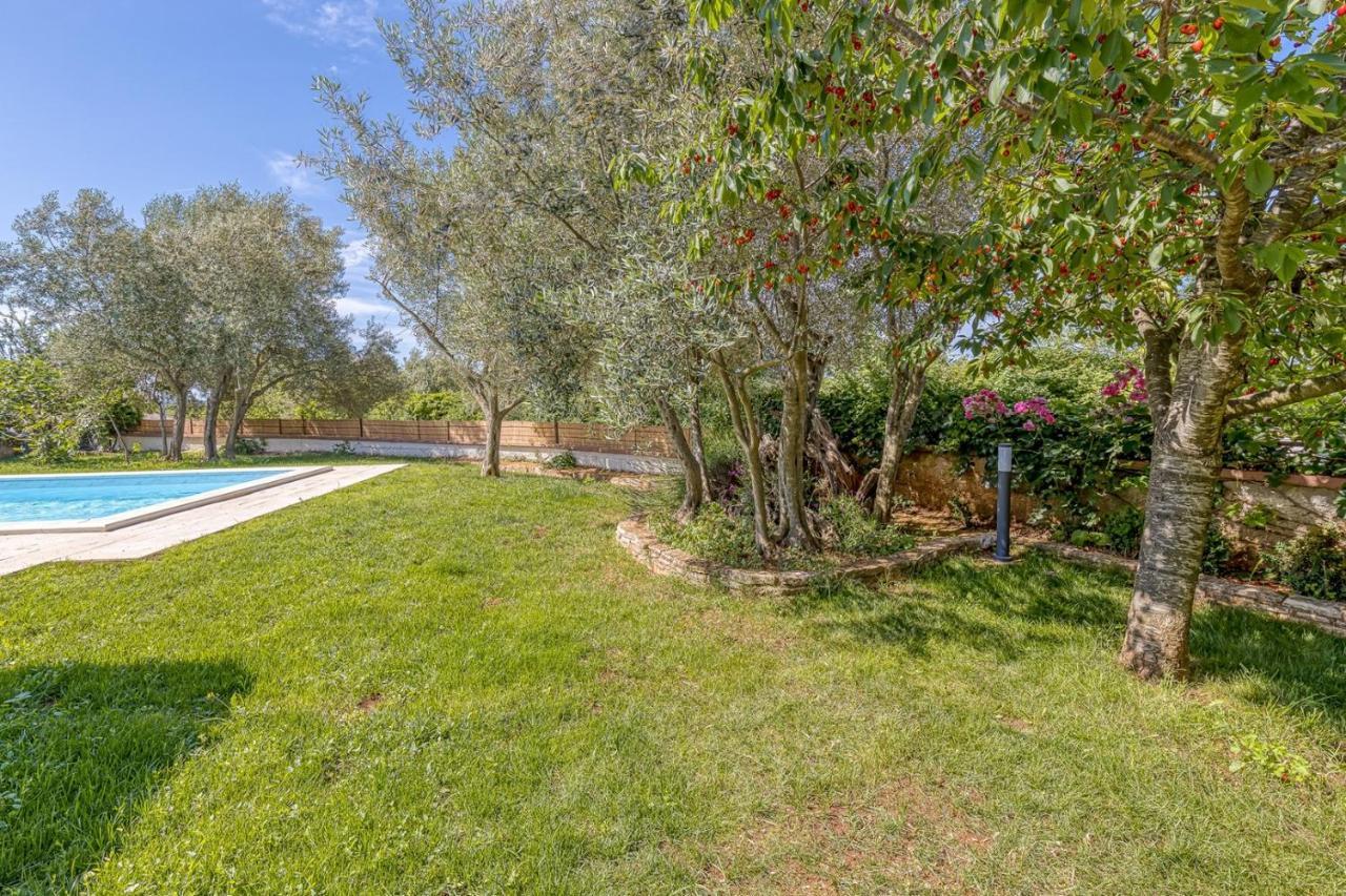 Smoljanci Villa Agatta With Private Pool מראה חיצוני תמונה